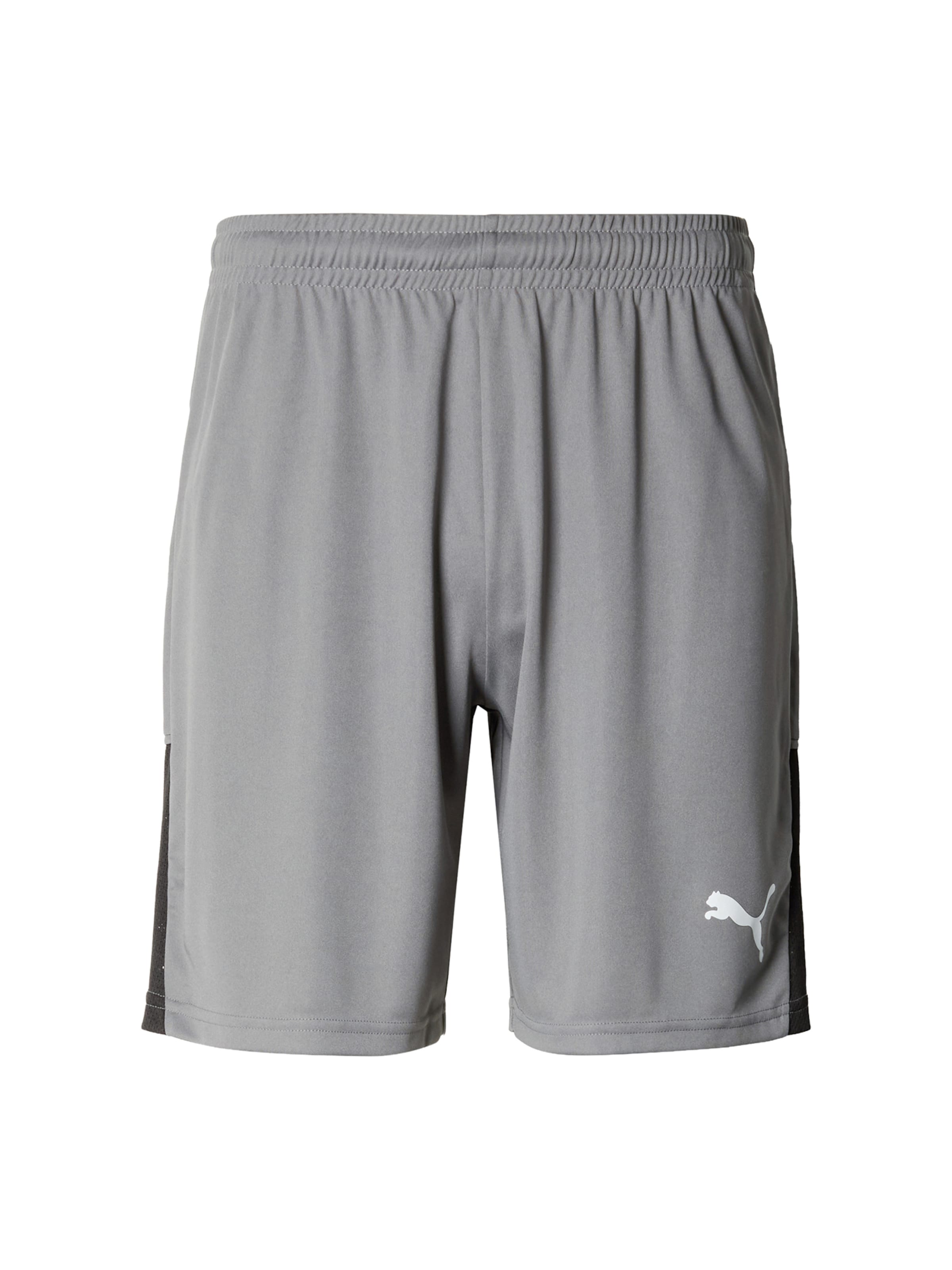 pelēks PUMA Standarta Sporta bikses 'TeamLIGA26': no priekšpuses