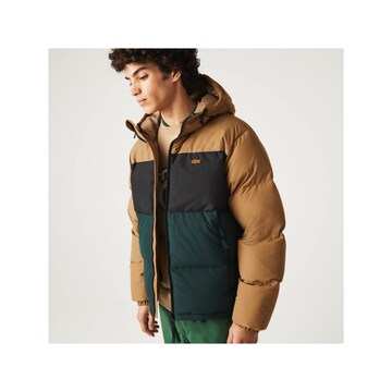 LACOSTE Winter Jacket in Mixed colors: front