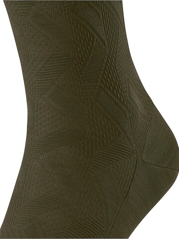 FALKE Socks 'Special Edition' in Green