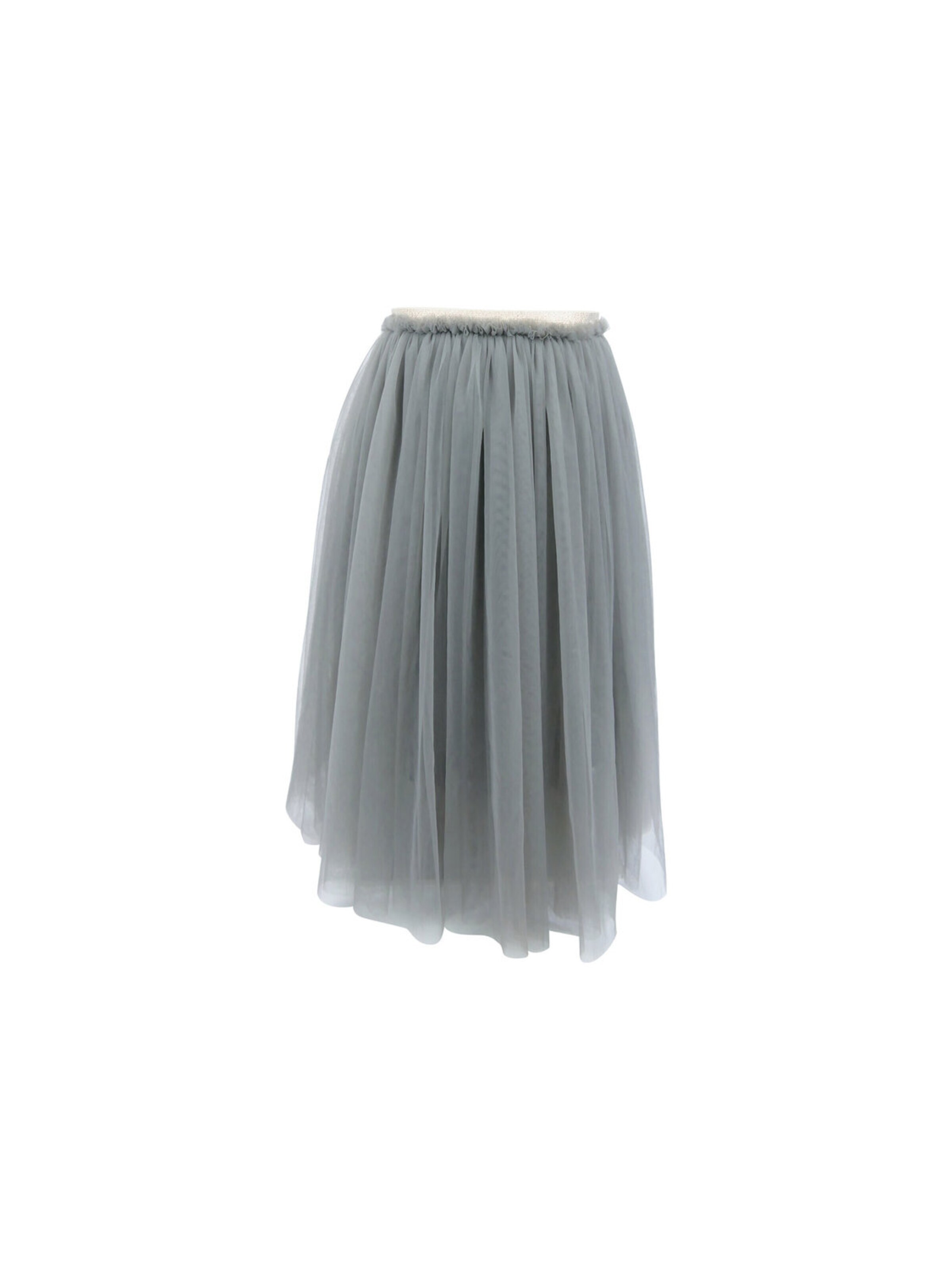 Billy loves Audrey Skirt 'Daphne' in Grey: front