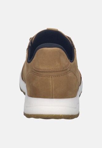 JOSEF SEIBEL Sneaker Clint 03 in Braun