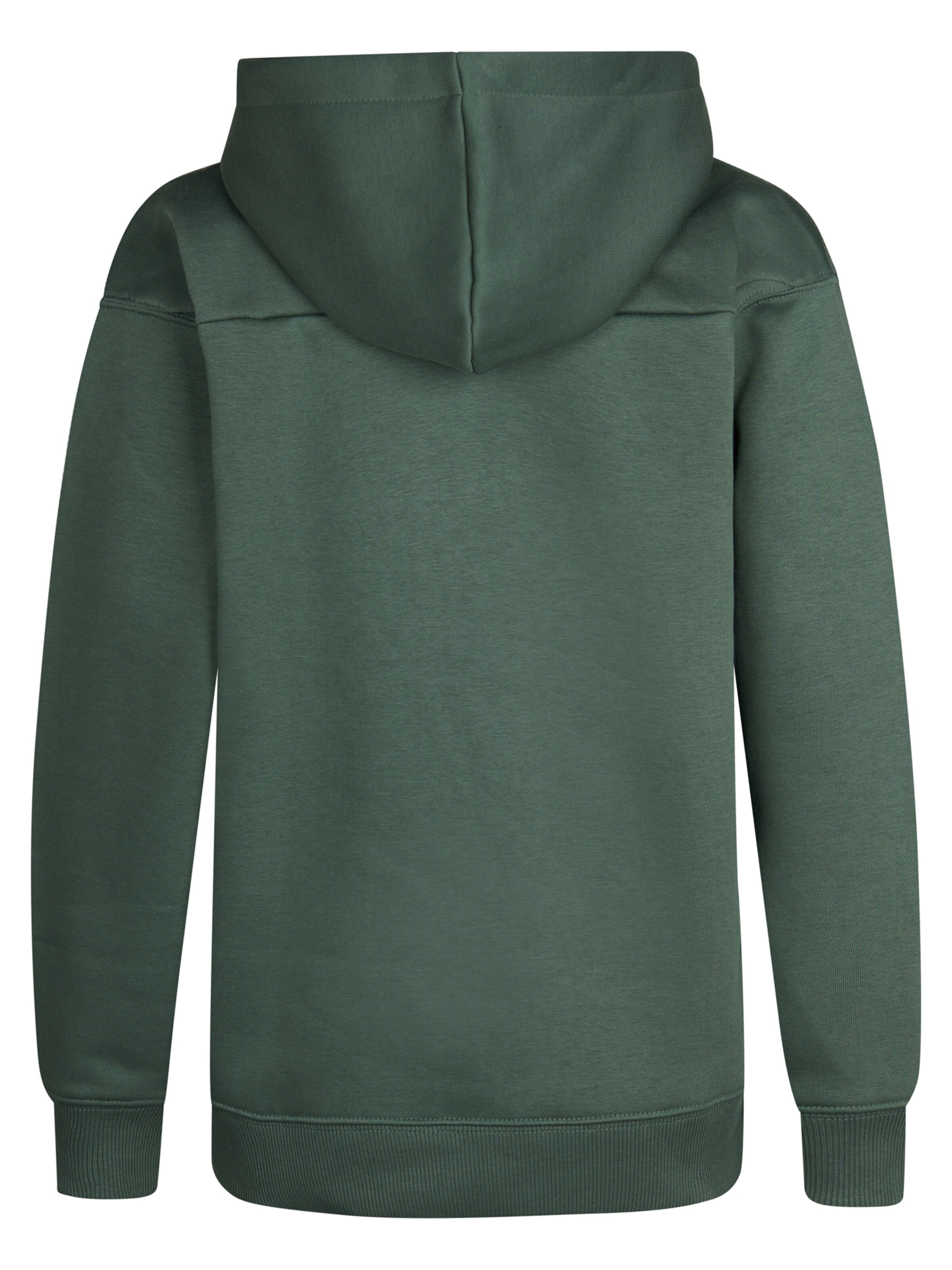 Petrol Industries Sweatshirt in Green