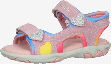 RICHTER Sandals in Pink: front