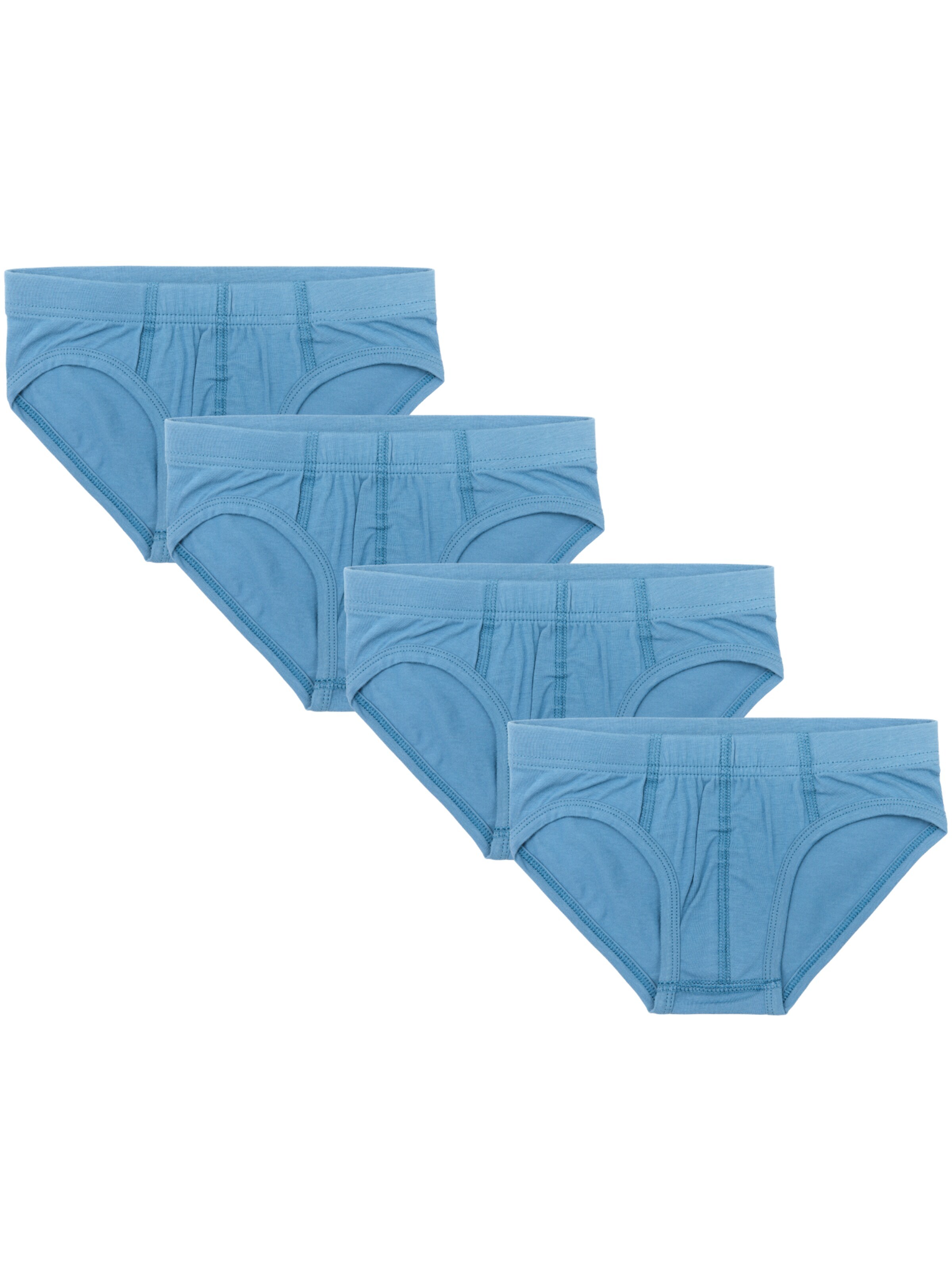Albero Natur Underpants 'Bio-Baumwoll-Jungenslip-4er Pack' in Blue: front