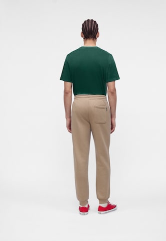 Tapered Pantaloni di CONVERSE in marrone