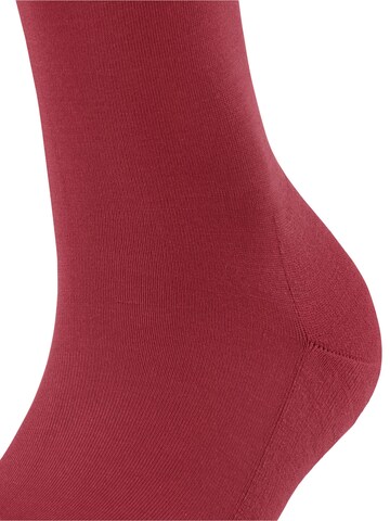 FALKE Knee High Socks 'ClimaWool' in Red