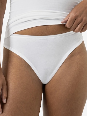 Mey String 'Modal Pure' in Brown