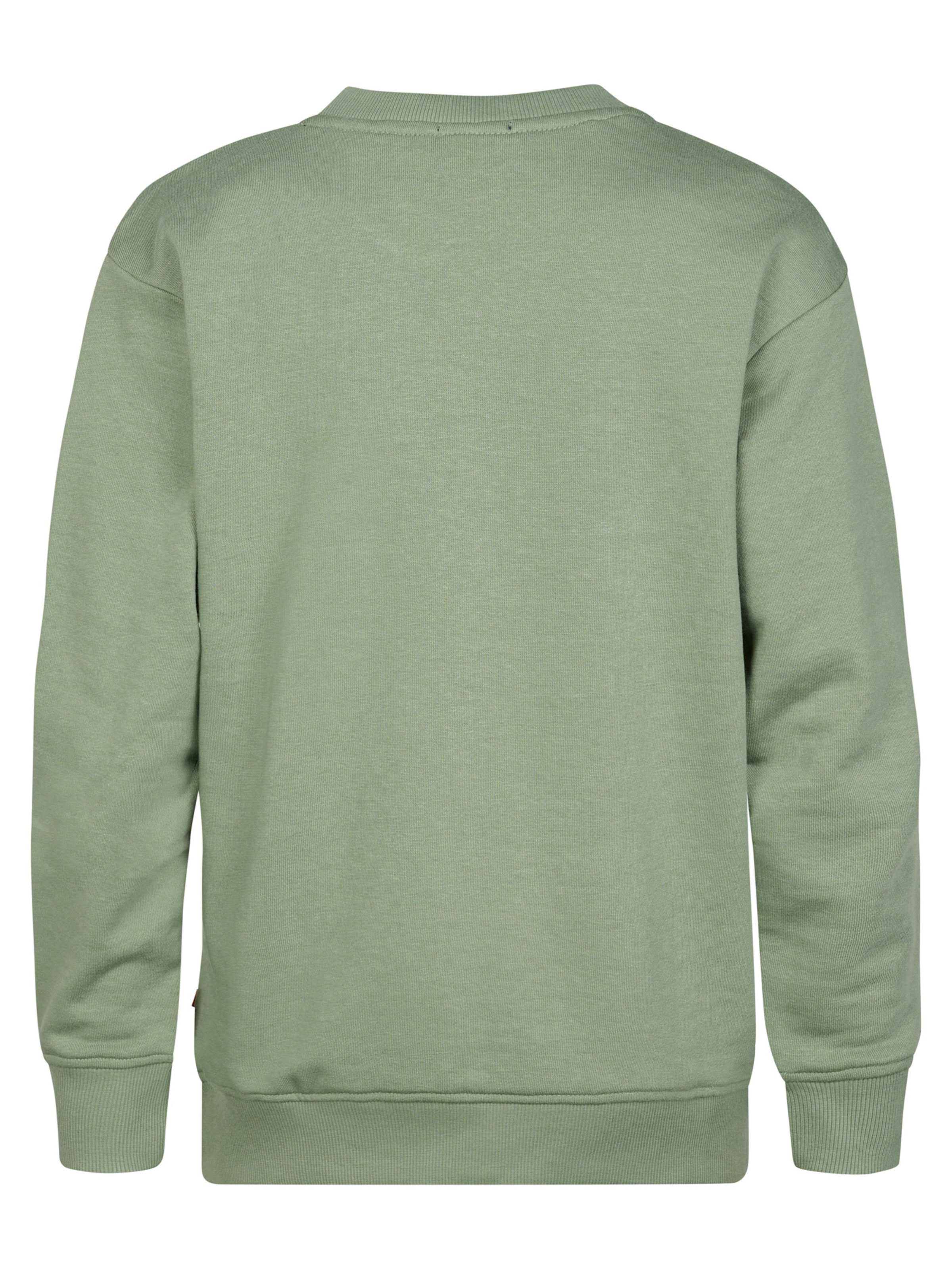 Petrol Industries Sweatshirt 'Coyote' in Green