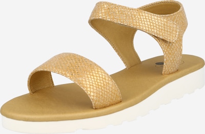 NINE TO FIVE Sandale 'Nika' in goldgelb / gold, Produktansicht