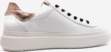 Nero Giardini Sneakers 'Pu.Riola B' in White