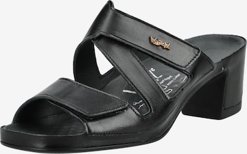 Mule vital en noir : devant