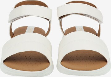 GEOX Sandals in White