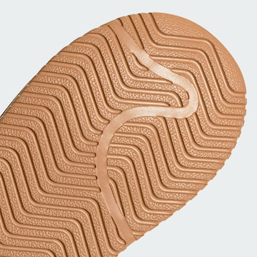 ADIDAS ORIGINALS Sněhule 'Campus 00s' – hnědá