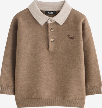 Next Sweater in Brown: front