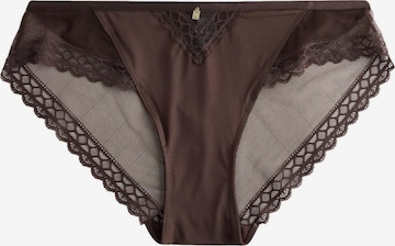 Next Panty in Brown: front