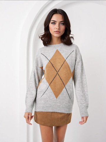 Pull-over Bigdart en gris : devant