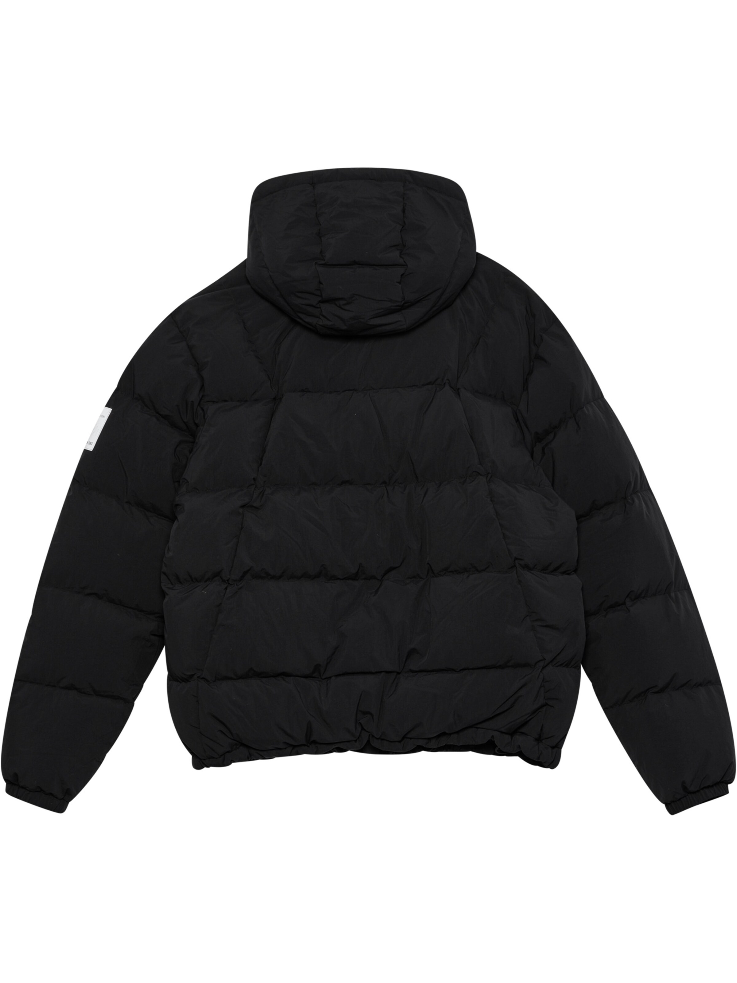 HALO Between-season jacket 'Maverick' in Black