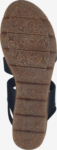 COSMOS COMFORT Sandalen met riem in Zwart