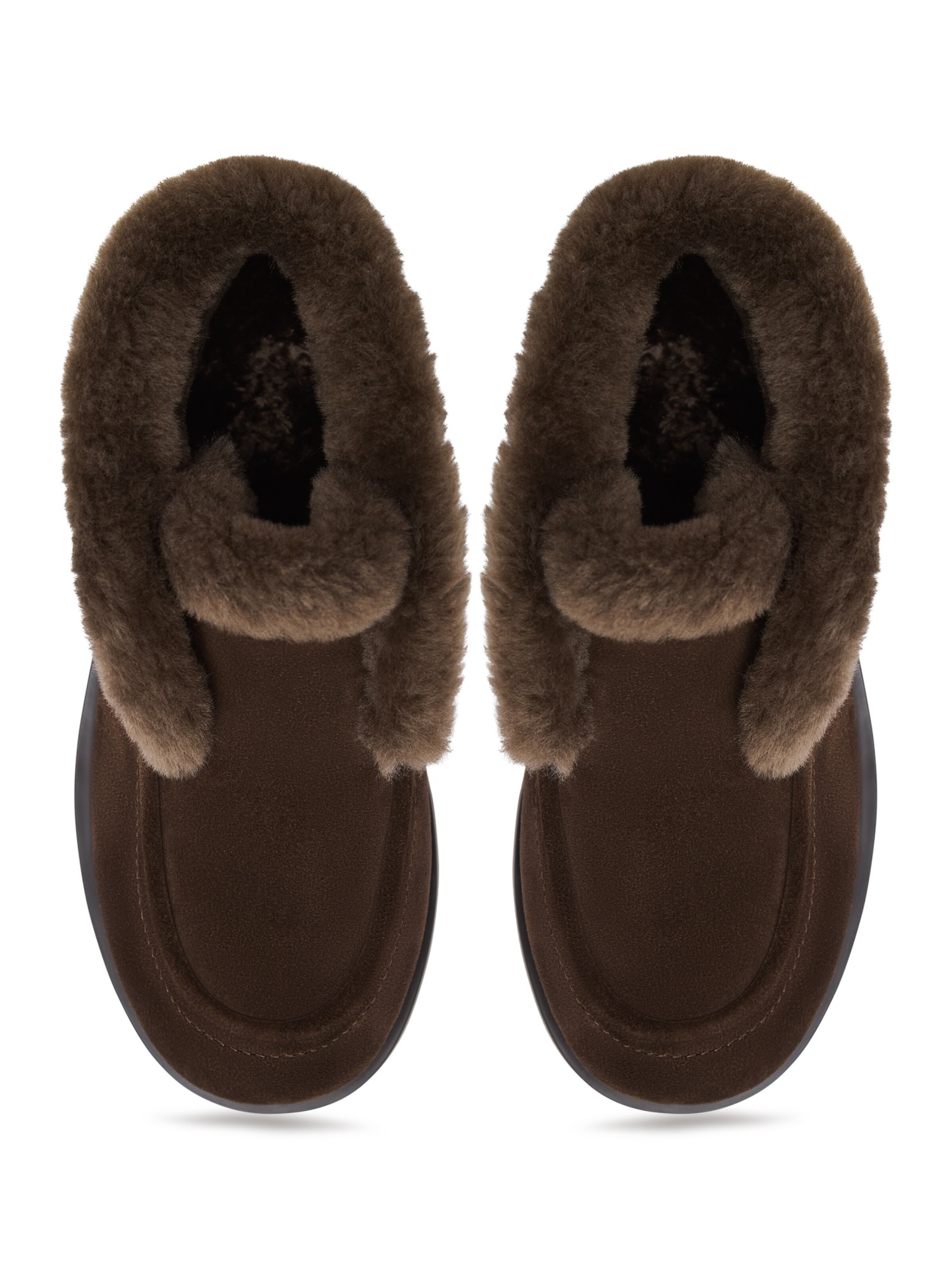 CESARE GASPARI Ankle Boots in Braun