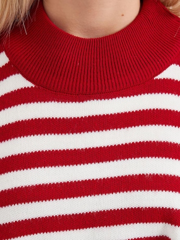 Bigdart Trui in Rood