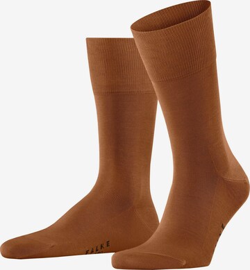 FALKE Socks 'Tiago' in Brown: front