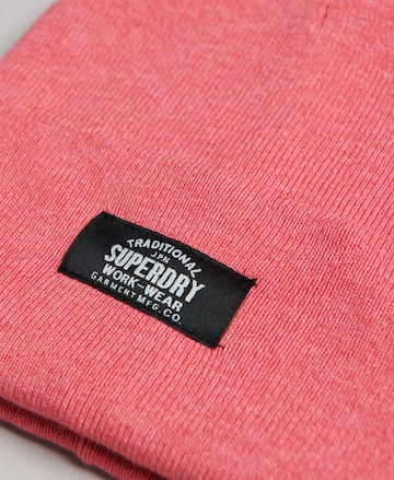 Superdry Mütze in Pink