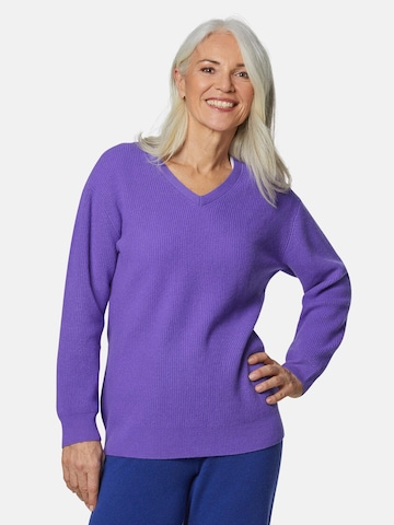 Goldner Sweater in Purple: front