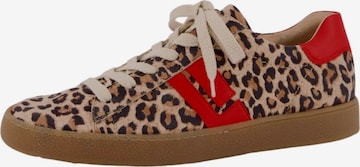 Paul Green Matalavartiset tennarit värissä ruskea: etupuoli