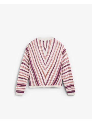 Scalpers Pulover | mešane barve barva