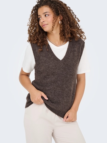 JDY Sweater 'JDYELANORA' in Brown