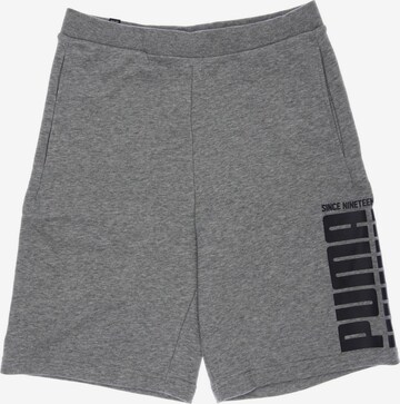 PUMA Shorts in 31-32 in Grey: front