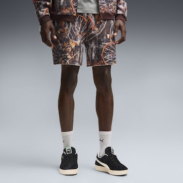 PUMA Regular Sportbroek 'Dylan Wildcat' in Bruin: voorkant