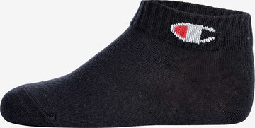 Champion Authentic Athletic Apparel Socks in Mixed colors