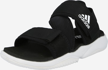 adidas Terrex Sandal in Black: front
