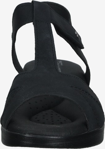 Arcopedico Sandals in Black