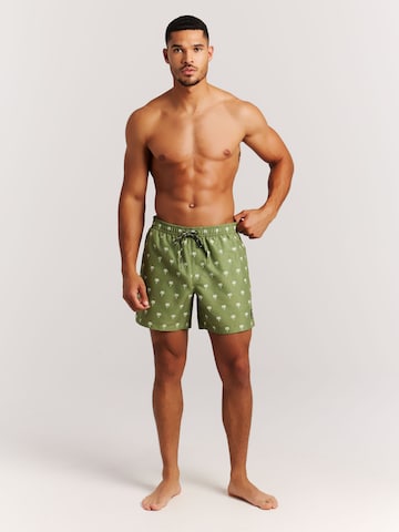 PROTEST Board Shorts 'PRTMascot' in Green