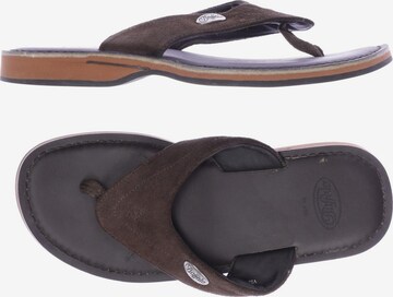 Buffalo London Sandals & Slippers in 41 in Brown: front