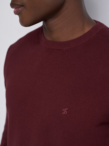 Salsa Jeans Trui in Rood