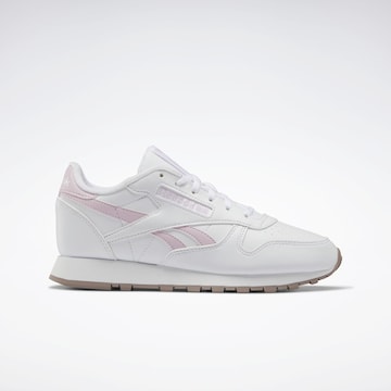 Reebok Låg sneaker i vit