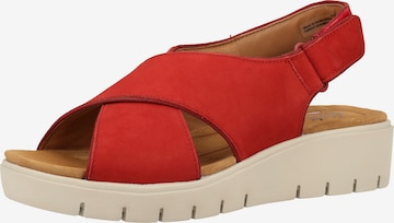 CLARKS Sandaal in Rood: voorkant