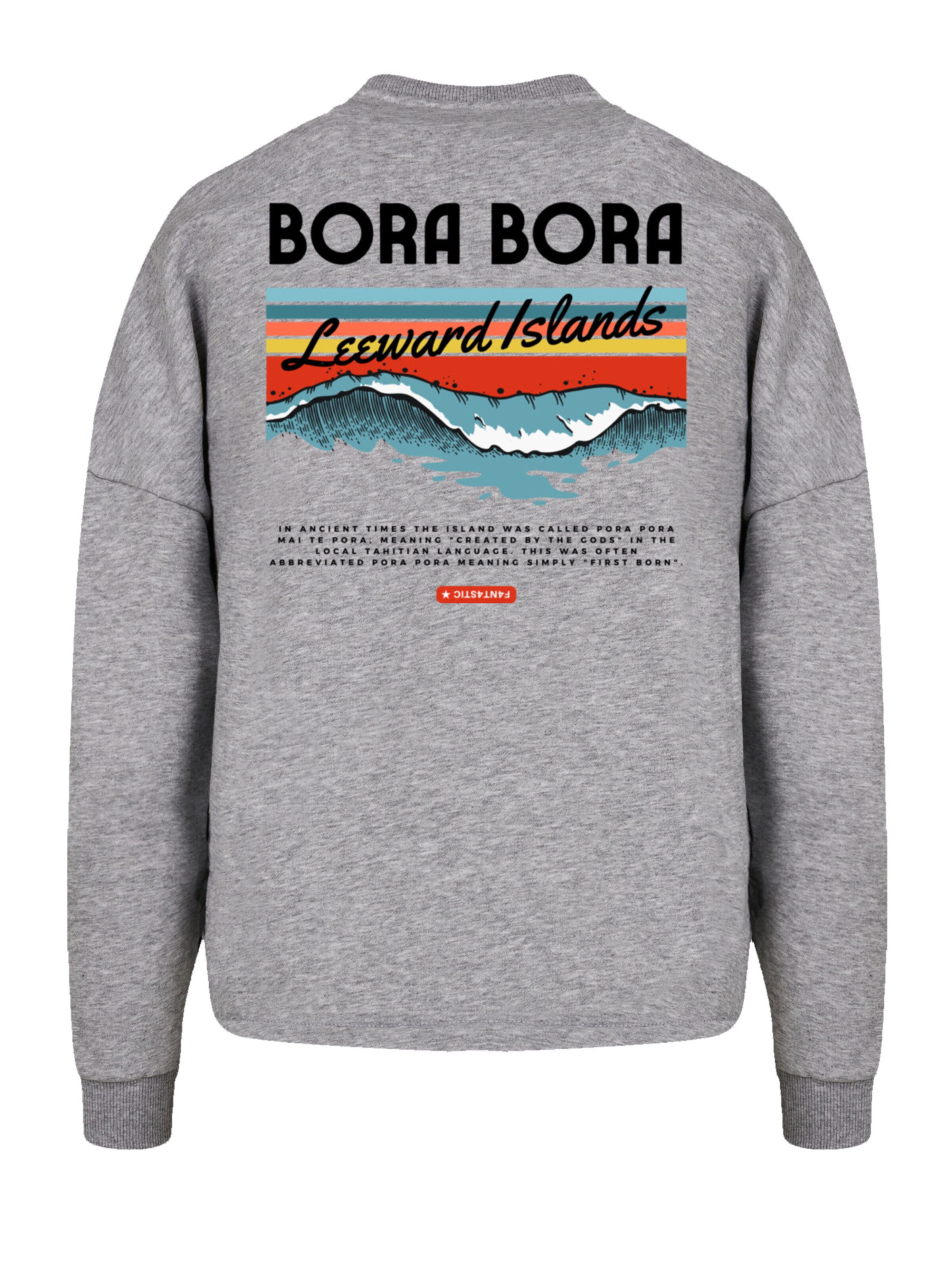 Sweat-shirt 'Bora Bora Leewards Island' F4NT4STIC en gris