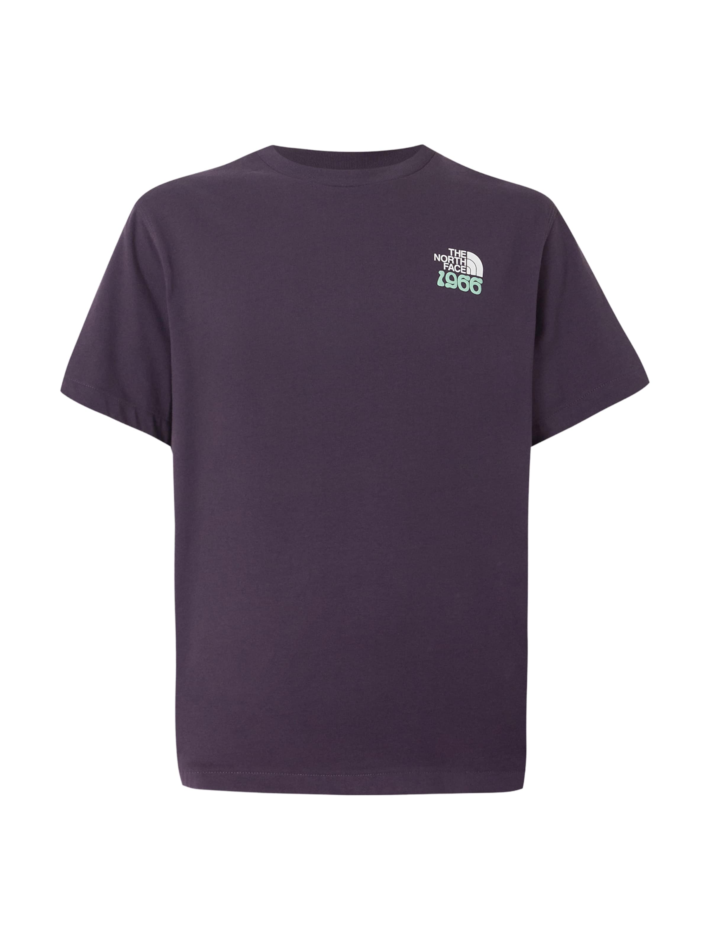 Tricou '1966 TNF' de la THE NORTH FACE pe albastru: față