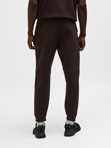 Hummel Tapered Workout Pants in Brown