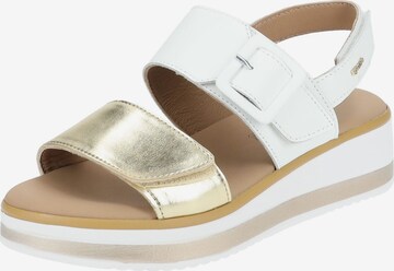 IGI&CO Sandals in White: front