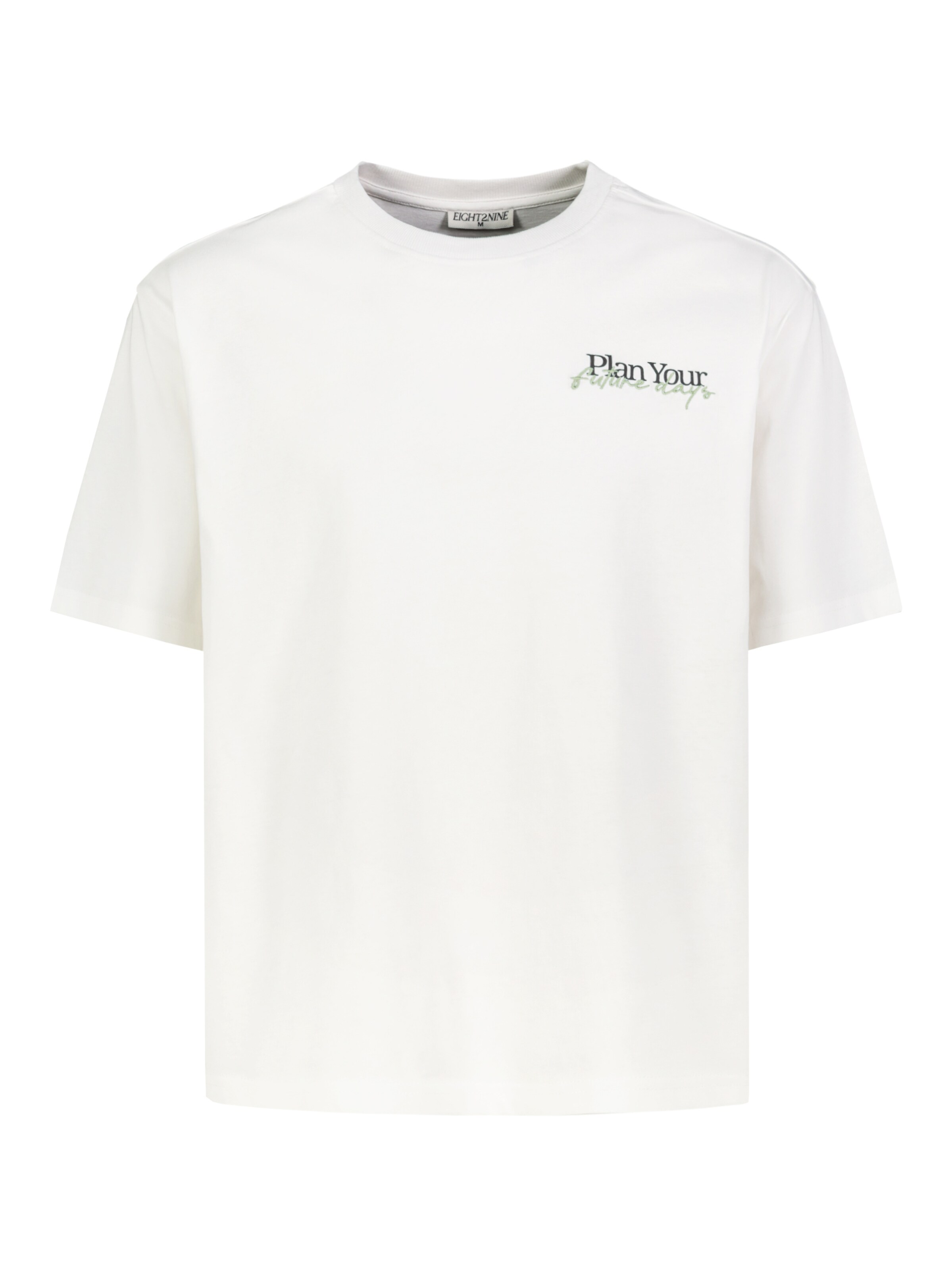 Eight2Nine Shirt in White: front