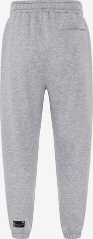 Redbridge Loose fit Pants in Grey