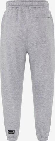 Redbridge Loosefit Broek in Grijs