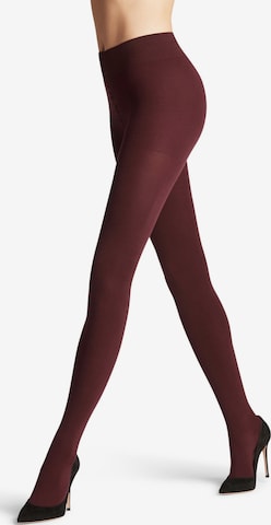 FALKE Tights 'Family' in Red: front