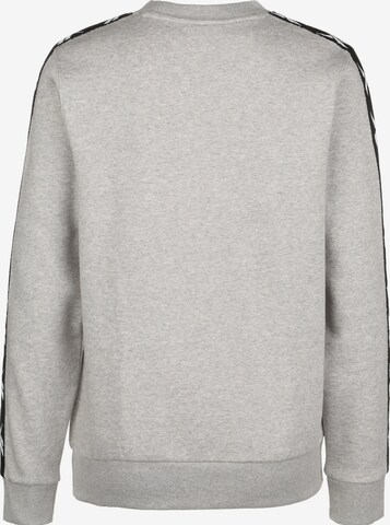 Reebok Sportief sweatshirt 'Essentials' in Grijs