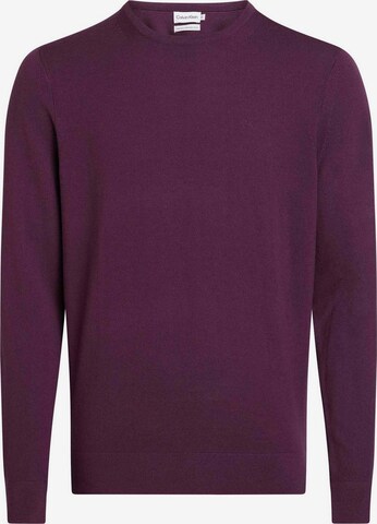 Calvin Klein Sweater in Purple: front